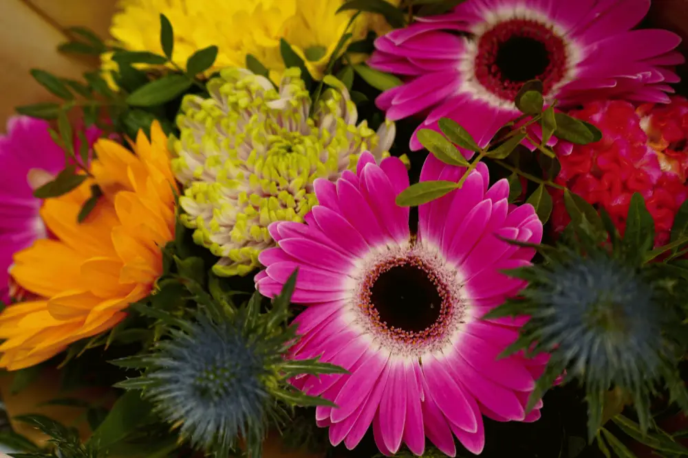 Graduation Flowers Web Medium 1470x980px