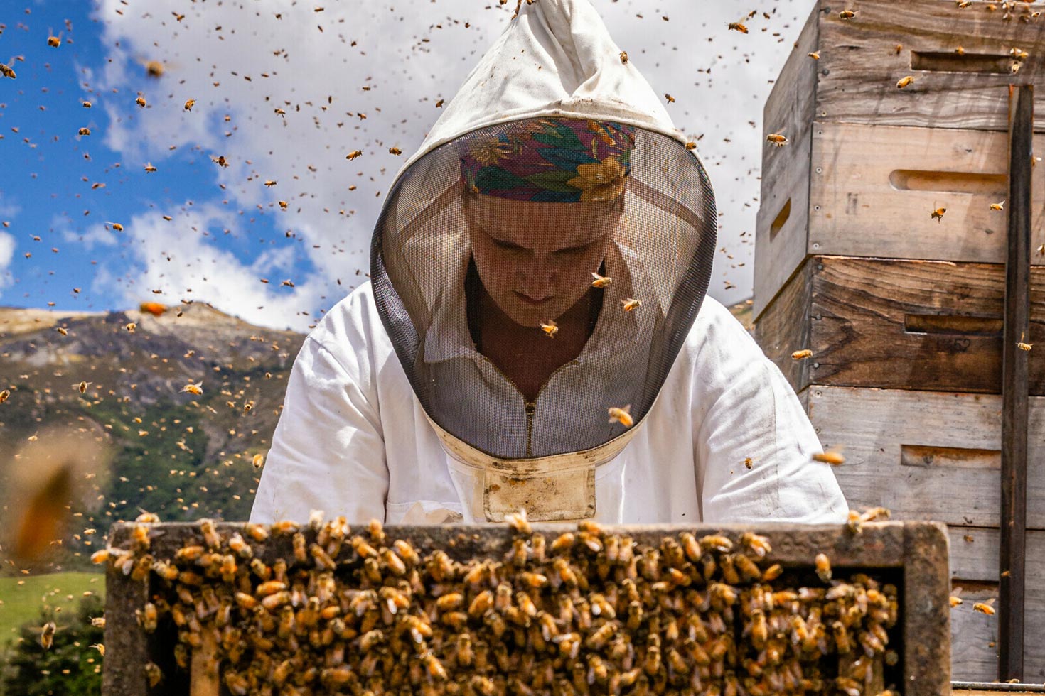 Beekeeper 2 Column 1470x980px