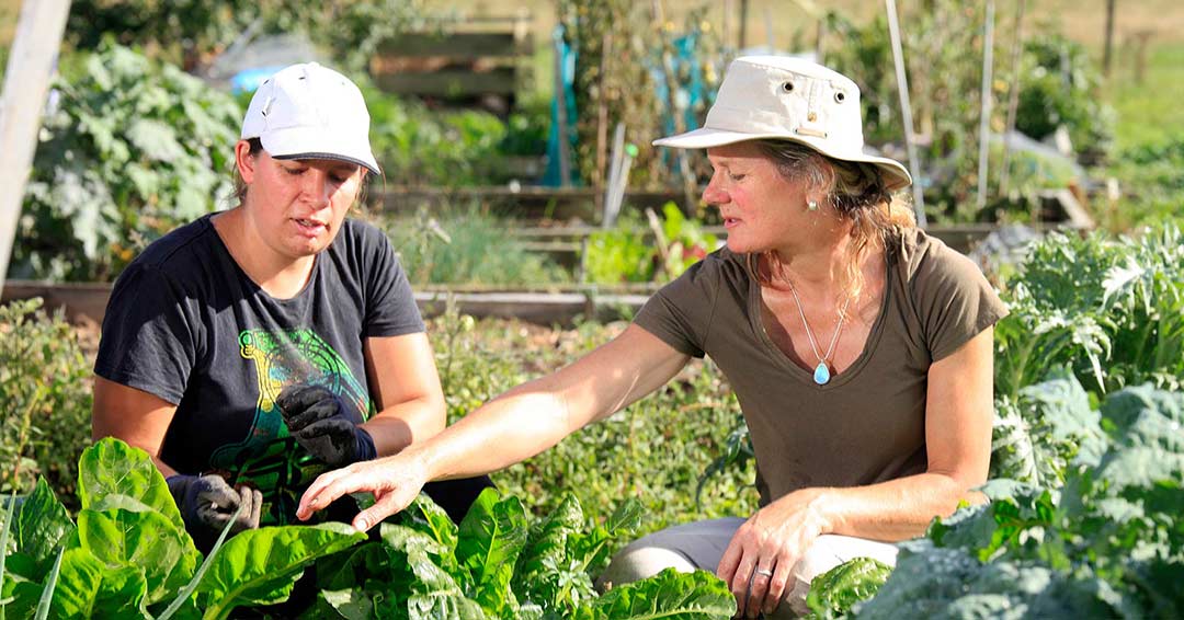 Horticulture Garden 1080x566px