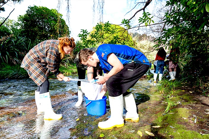 Collecting samples