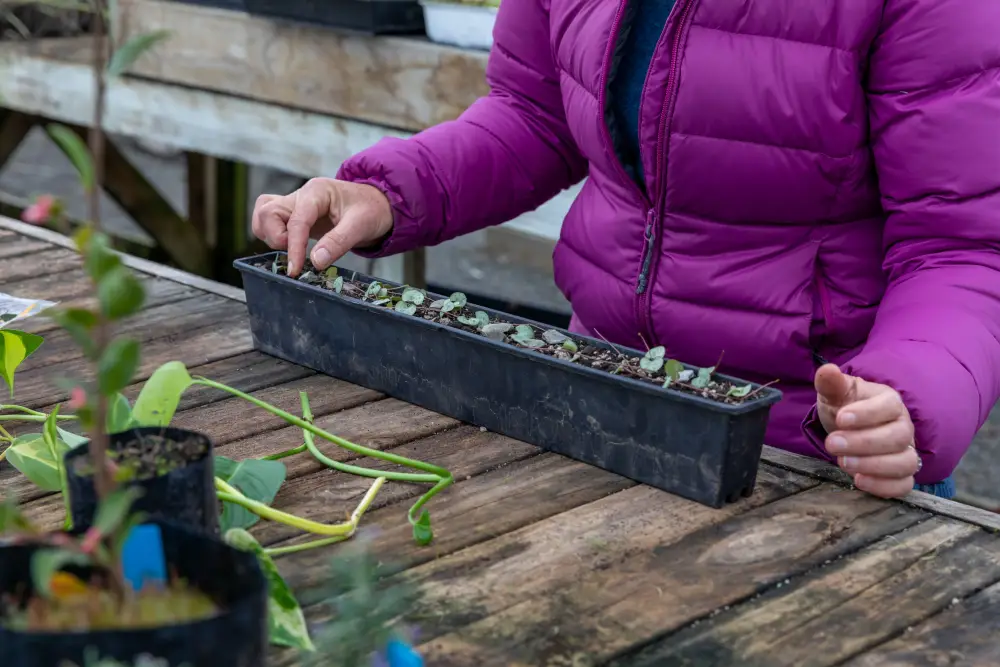 Horticulture Photoshoot AUG21 (38)