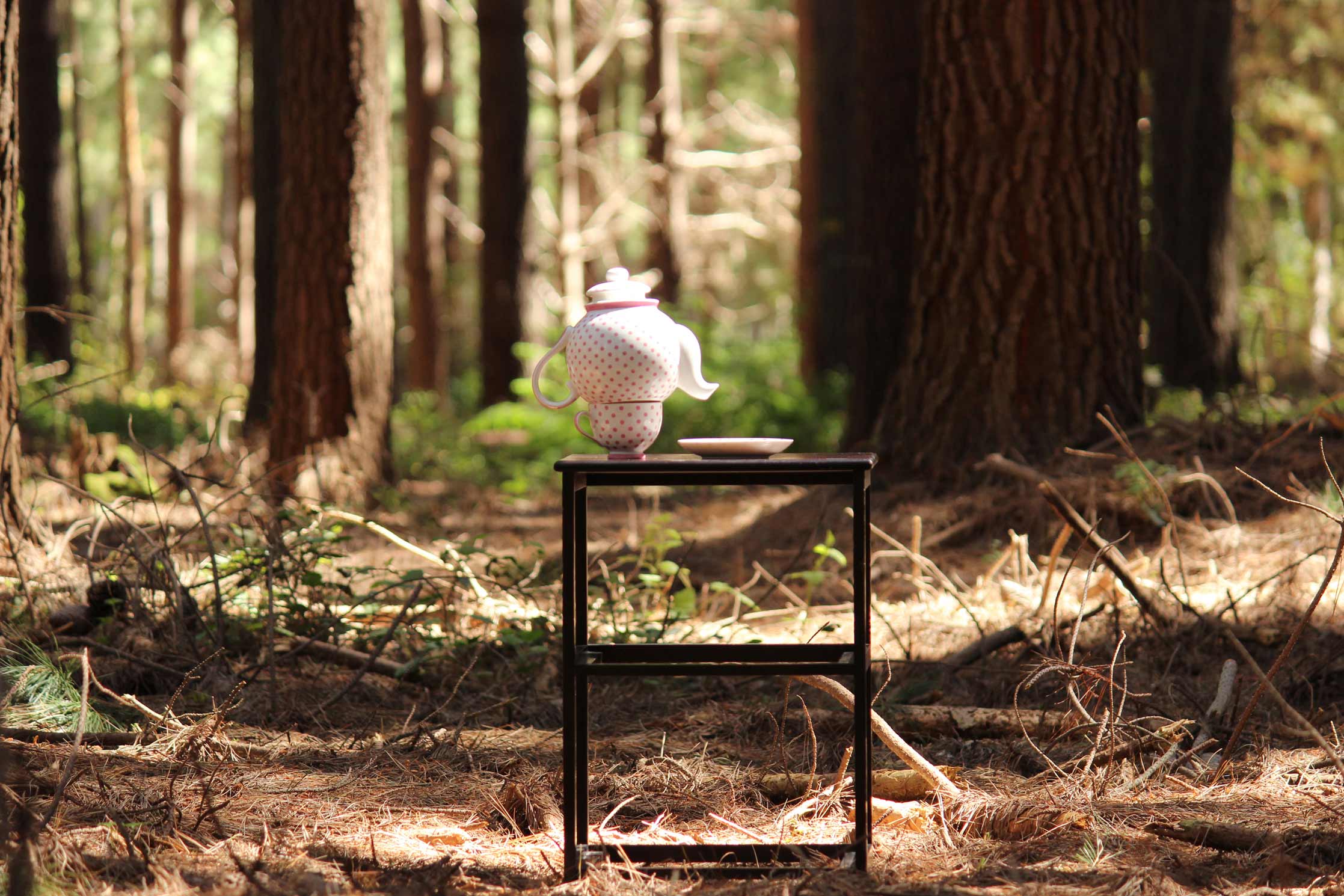 Curiouser and Curiouser photo of NMIT student and Artist Jess Nelson
