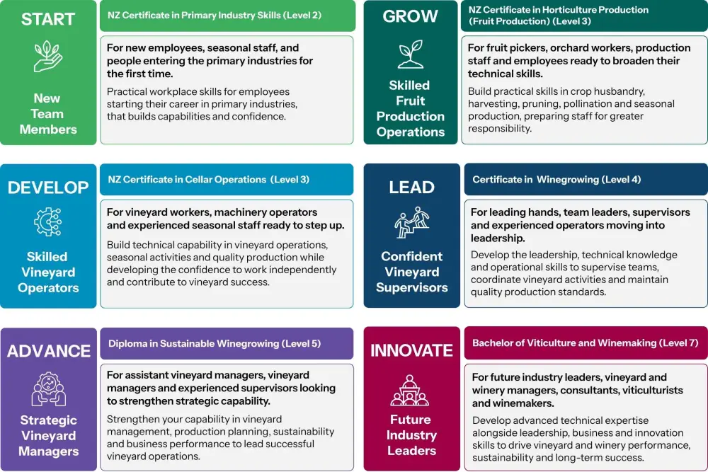 Viticulture training pathway V2 Full 2235x1490px