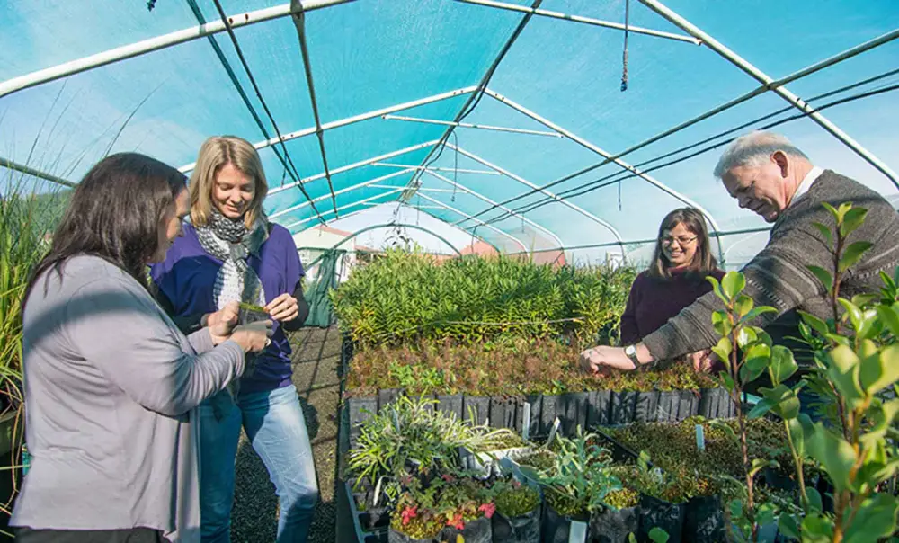 national certificate in horticulture level 4