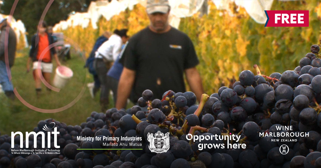 New Zealand Certificate in Primary Industry Skills (Level 2