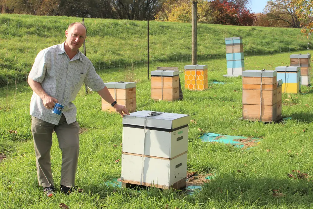 Dion Large Full Width 2235x1490px copy 2