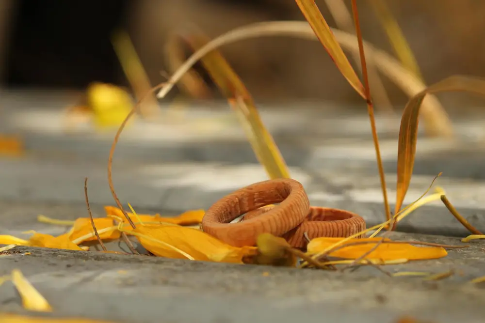 market1Large Full Width 2235x1490 copy